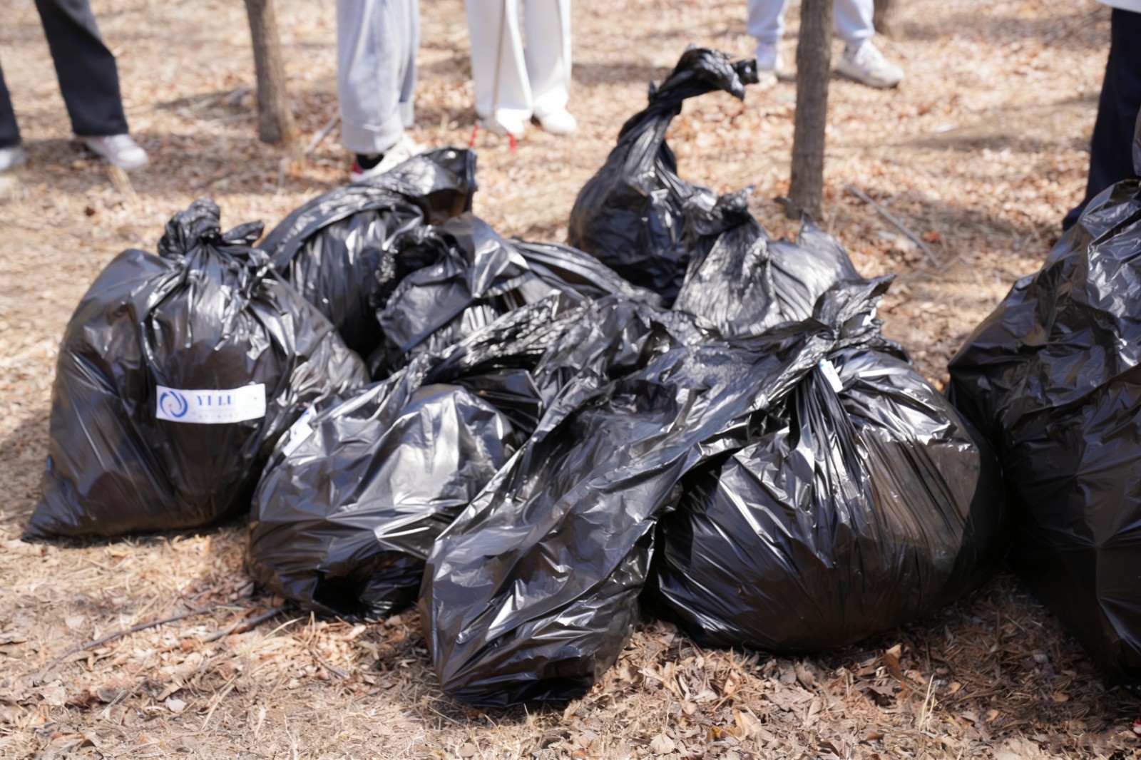 2026-04-11 144700.jpg